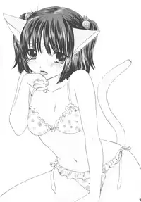 (C75) [BEAT-POP (Ozaki Miray)] HONEY CATS