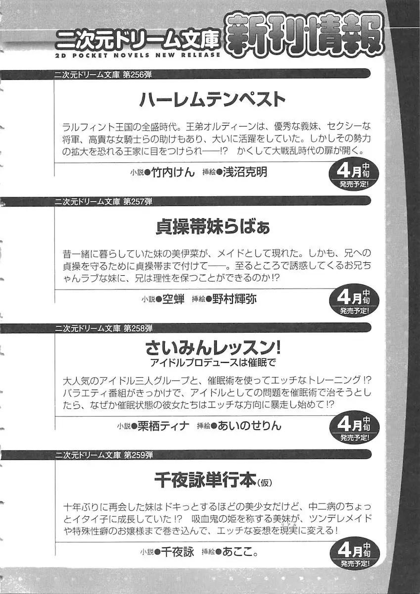 Netgame no Yome ga Seitokaichou Datta Ken ni Tsuite