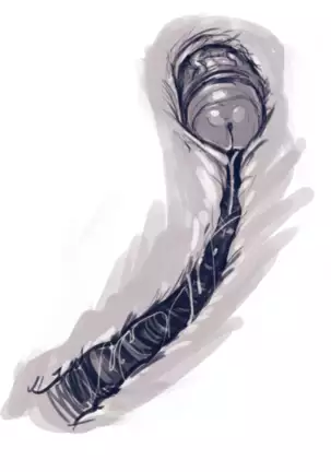 Harley Quinn Superslut