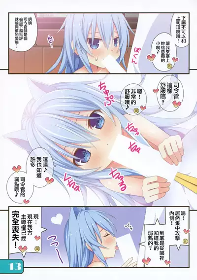 IRIS36 Nekomimi Hibiki ni Shokken o Ranyou Suru dake no Hon