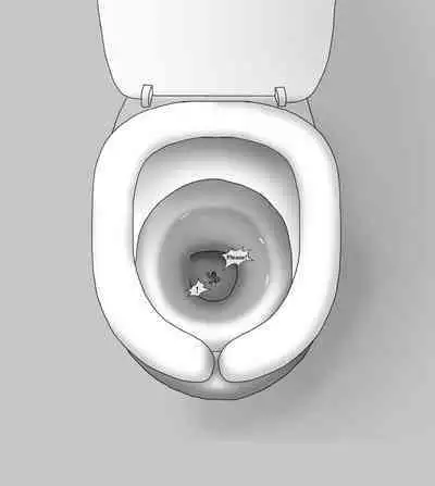 Female Students Working Part-Time In Prison