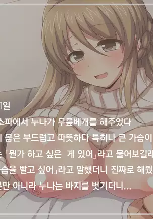 Osananajimi no Onee-chan to Otomari H