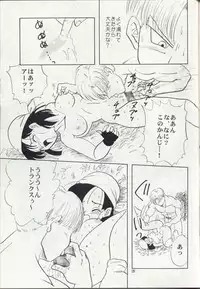 (C50) [Chirigami Goya, Fusuma go Ten (Shouji Hariko)] ZZ (Dragon Ball Z)