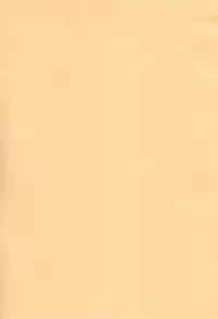 [SEM;COLON (Mitsu King)] Chicken Maid Party (Mayo Chiki!)