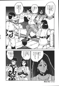 [Tarumoto Hajime] Wild at Sword