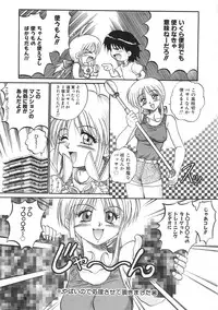 Colorful Bee 1999-07