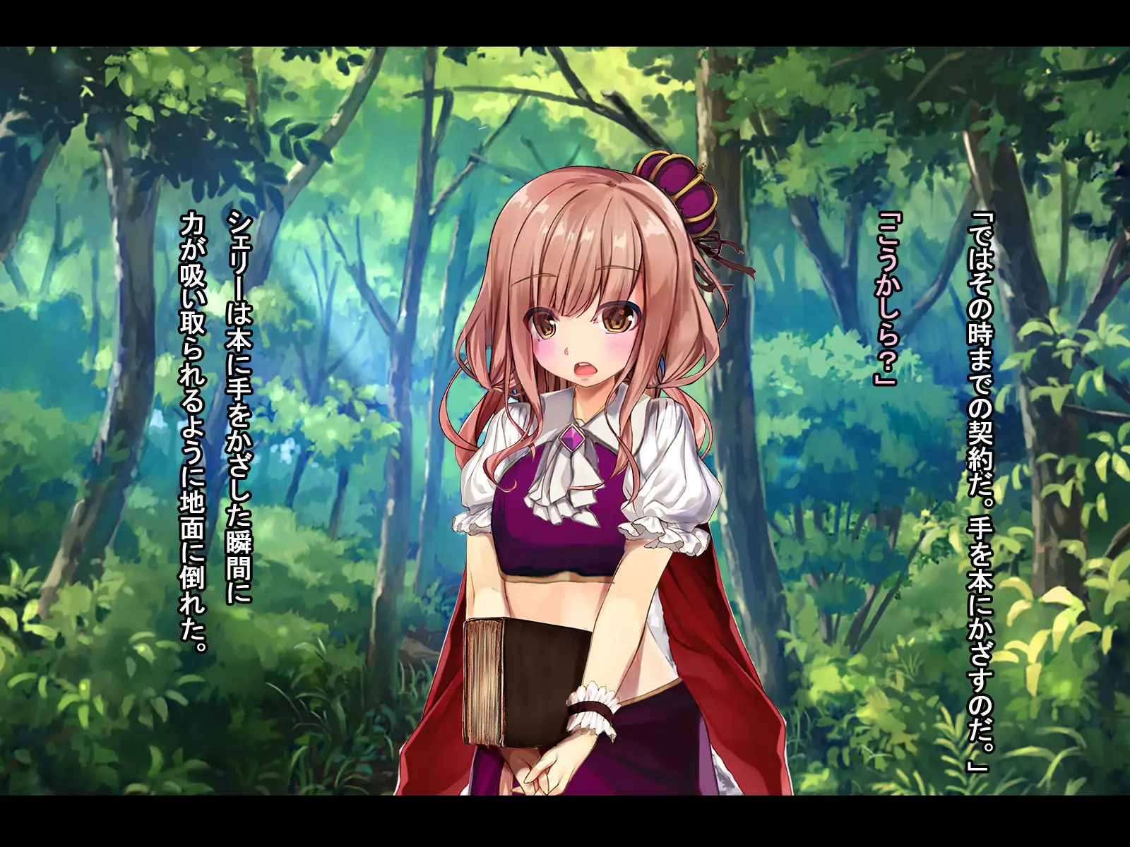 The Price of Vengeance ~Despair of a Maid and Little Sister Princess~