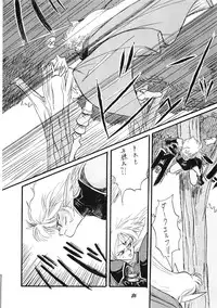 (C39) [PUSSY CAT (Various)] PUSSY CAT Vol.19 Nadia Hon 2 (Various)