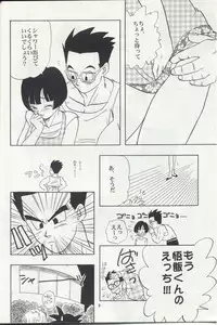 (C50) [Chirigami Goya, Fusuma go Ten (Shouji Hariko)] ZZ (Dragon Ball Z)