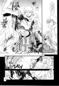 (C68) [Digital Lover (Nakajima Yuka)] D.L. action 30 (Ragnarok Online)