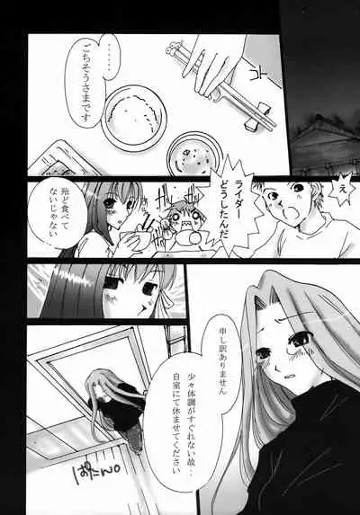 [UDON-YA (Kiru, ZAN)] BAYLEYS (Fate/stay night)