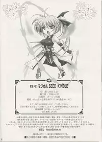 [PLUM (Kanna)] Mahou Shoujo Magical SEED KINDLE (Mahou Shoujo Lyrical Nanoha)