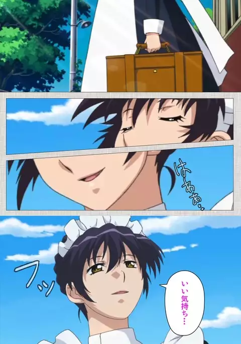 Maid Ane 1-Kame Complete Ban