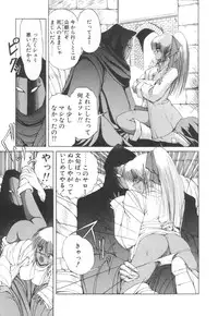 [Makoto Fujisaki] Dark Wirbel Vol 2