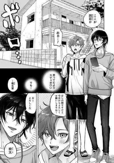 Danshoku rei no sumu apauto 2