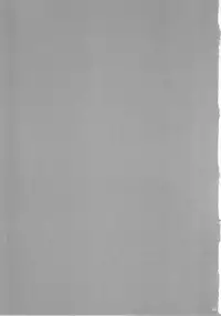 (C82) [r.i.s factory (Ruschuto)] SECRET SERVICE (THE iDOLM@STER)