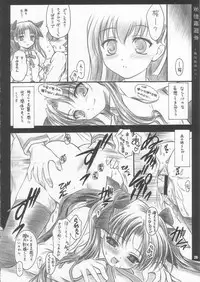 (C67) [Yakan Hikou (Inoue Tommy)] CATTLEYA 3 (Fate/stay night)