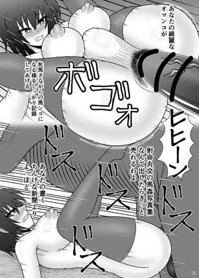 Jikan Makan Shameimaru Aya