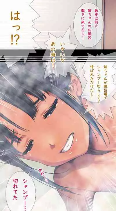 Komarigao na Bijin no Ane o Osotte Yaritai Houdai Yatta Hanashi