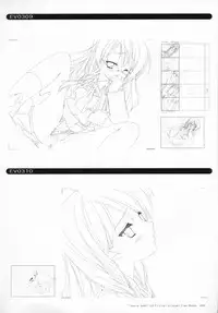 Bra-Ban Visual Fanbook