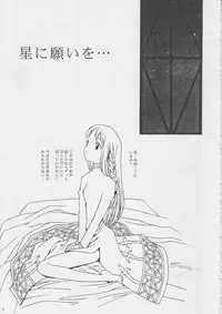 (CR22) [Bakuhatsu BRS. (B.Tarou)] Hoshifuri Teien (Final Fantasy Tactics)