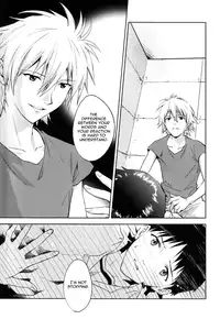 (CCTokyo123) [Cassino (Magarikoji Lily)] NO? (Neon Genesis Evangelion) [rational madness]