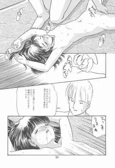 (CR17) [SYSTEM GZZY (Eimu Yuu)] VIOLIN