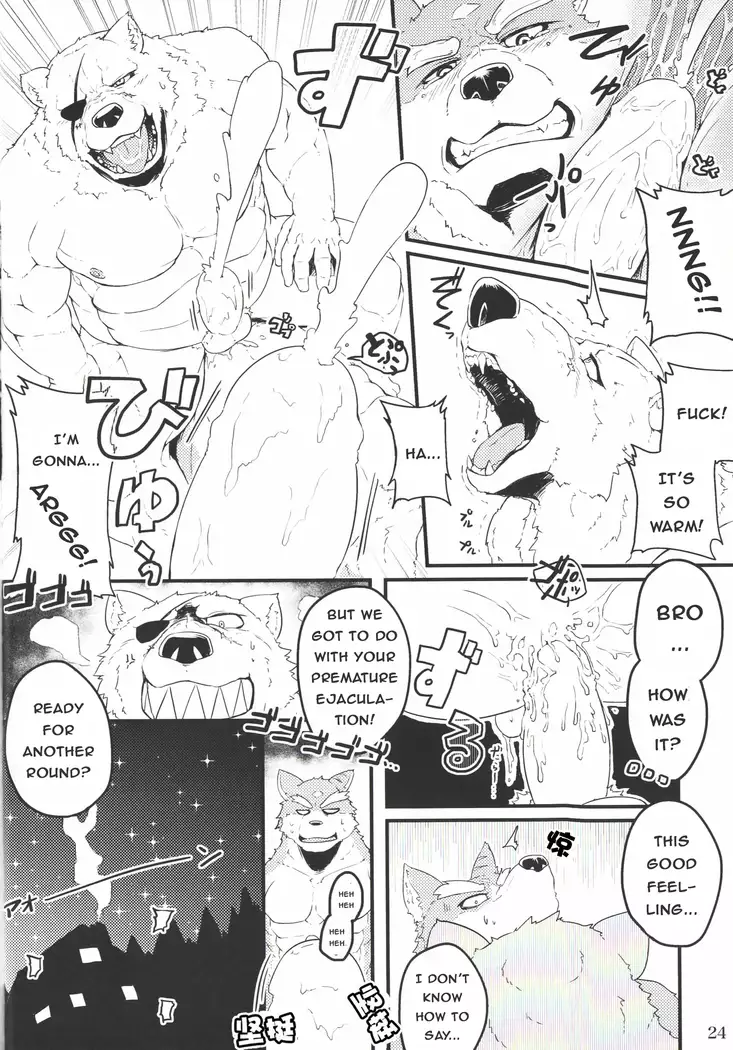 Yuusetsu Bivouac Night + Extra