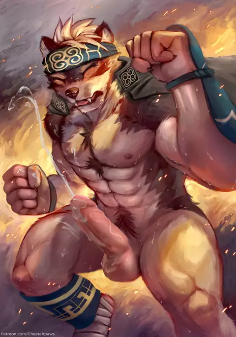 February 2017 Package Reward