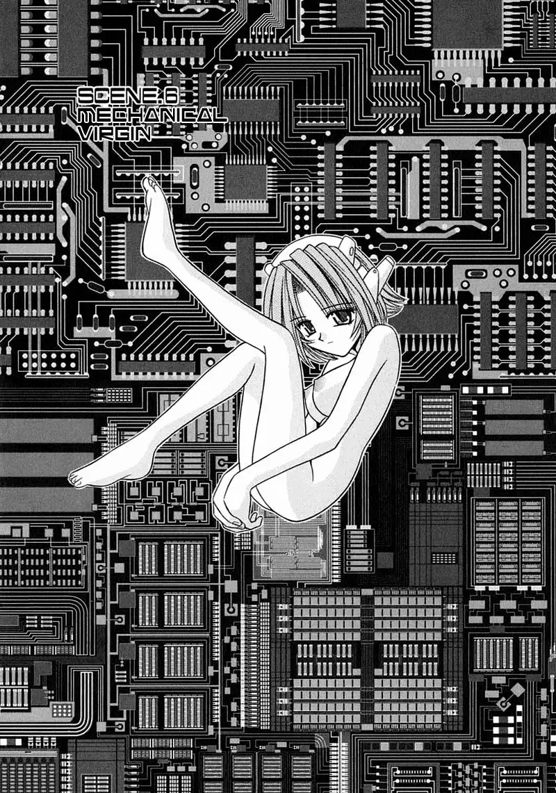 Palladium Garden 06 - Mechanical Virgin