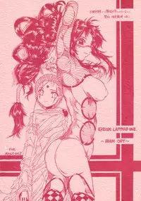 (CR34) [Virgin Virus (Matsumi Jun)] EPISODE LADYMAID ONE. ~BRAIN COPY~