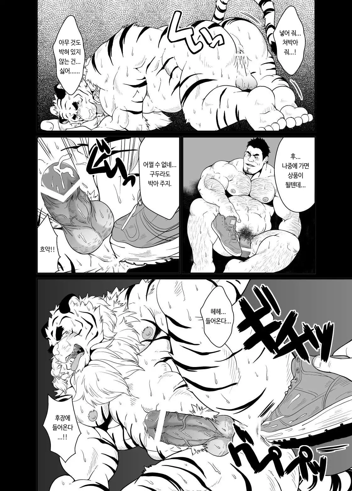 Toradorei -KEMONO Company 2- | 호랑이 노예 -KEMONO 컴퍼니 2- .