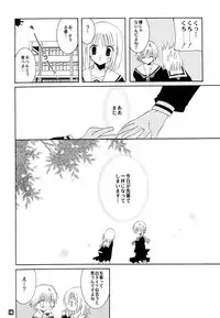 (CR35) [Takanaedoko (Takanae Kyourin)] METAL SLADER GLORY (Fullmetal Alchemist)