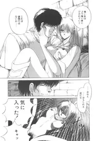 [Makoto Fujisaki] Dark Wirbel Vol 2