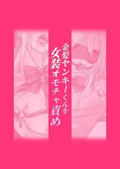 Kinpatsu Yankee-kun o Josou Omocha Seme