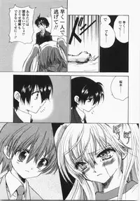 [Hirokawa Tomo] Cherry Concerto