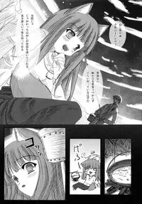 (Mimiket 19) [Harapekkoken (Wagahai Hakushaku)] Kashikokunai Hon (Spice and Wolf)