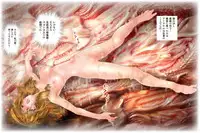 [NEO’GENTLE] Virginal Mimu Purinna