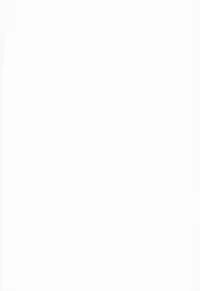 (COMIC1☆8) [Diogenes Club (Haikawa Hemlen)] Fairy Bitch (FAIRY TAIL)