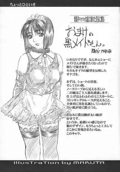 (C61) [S (LINDA, MARUTA)] S no higeki (Various)