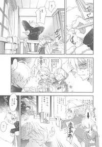 (C76) [Annin (Tooka)] Ninja Master (Final Fantasy Tactics)