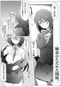 (COMIC1☆5) [RIBI Dou (Higata Akatsuki)] IS Girl's (Infinite Stratos)