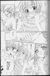 [Totsugeki Wolf (Hashiba Maiko, Yuhki Mitsuru)] Sakura Sakura (Cardcaptor Sakura)