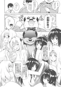 (COMIC1☆11) [sin-maniax (Todoroki Shin)] ToLOVEleS (To LOVE-Ru Darkness)
