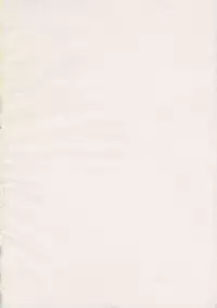 (SC65) [Honoji (Puuakachan)] Ginsunago no Pinball! (Touhou Project)