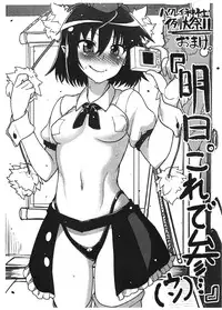 (Reitaisai 11) [Takeya (Taketora Suzume)] Isseki Ni Karasu (Touhou Project)