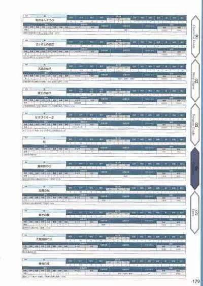 Amayui Labyrinth Meister Perfect Guidebook