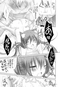 (C76) [102 Goushitsu (vanilla)] Koinu no Waltz (7th Dragon)