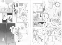 [Anthology] Teddy Boy Vol.6