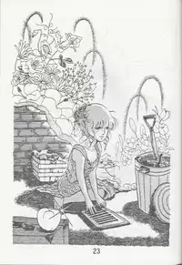 Megazone 23 Part II Doujinshi (Artland)